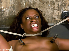 Monique in HogTied Welcome Jaw-dropping Milf Monique For Her First Hardcore Bondage Experience. - HogTied