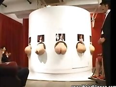 Asian donks sticking out of gloryholes