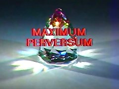 Maximum Perversum 05 - Sex-Hammer