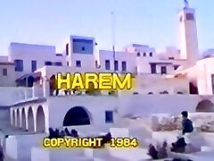 Harem - Part 1