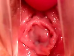 Pregnant Pussy - The Inside Look