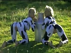 Smiling Cows