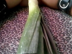 Orgasm thanks to the leek, big and lengthy!! EXTREME INSERTION