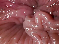 Close up ass fingering and dirty talk, assfucking masturbation orgasm